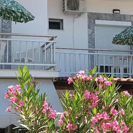 לינה וארוחת בוקר Soti's