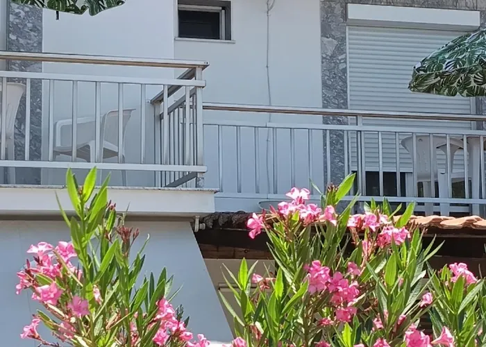 Oda ve Kahvaltı Soti's