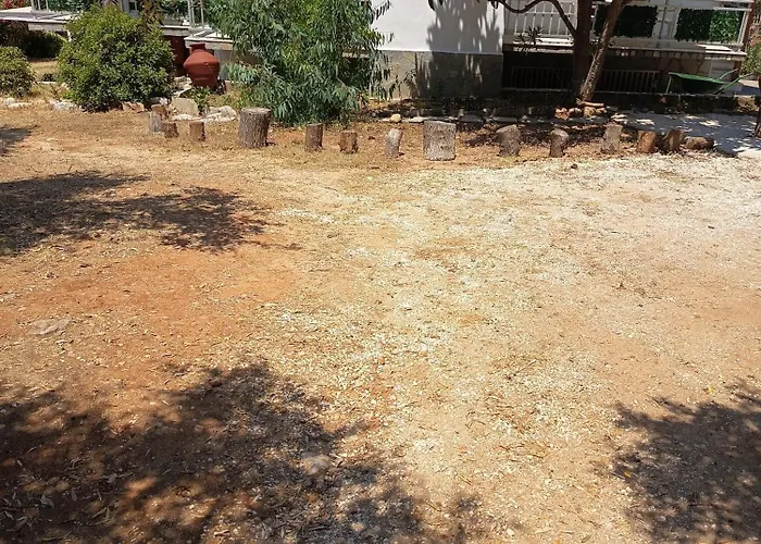 Oda ve Kahvaltı Soti's 3*